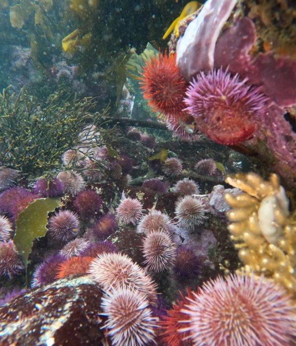 DCIM100GOPROGOPR4400.JPG