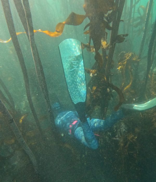 DCIM100GOPROGOPR0505.JPG