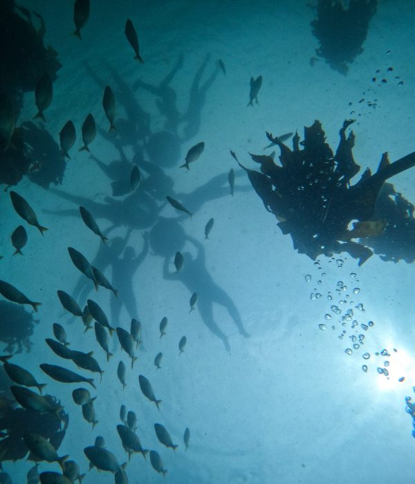 DCIM101GOPROGOPR0536.JPG